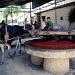 One Day Yuanjiacun Village Food Tour - Journey to Yuanjiacun Village