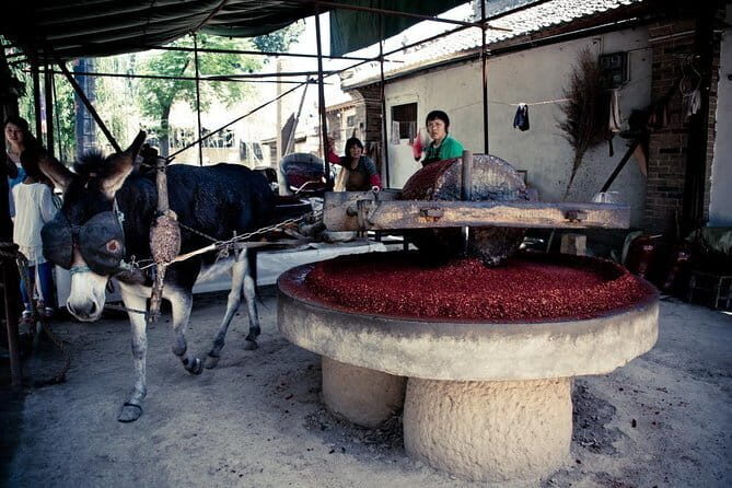 One Day Yuanjiacun Village Food Tour - Journey to Yuanjiacun Village