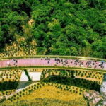 One Way Private Car To Bana Hills from Hoi An - Key Attractions at Ba Na Hills