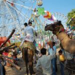 One Way Transfer From Jaipur To Pushkar in AC Vehicle - The Sum Up