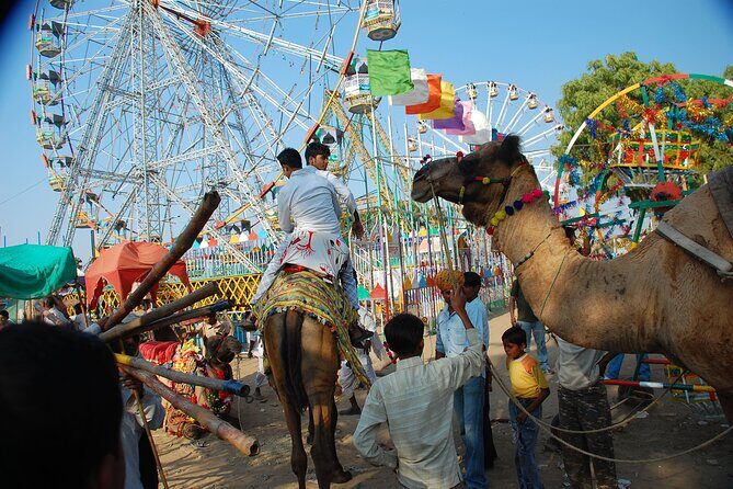 One Way Transfer From Jaipur To Pushkar in AC Vehicle - The Sum Up