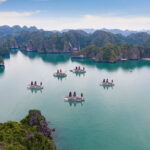 Orchid Trendy Cruise Halong Bay 2 Days/1 Night 5 Star Cruises - Authentic Experiences & Authenticity