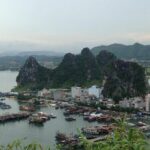 Orchid Trendy Cruises - Halong Bay 2 Days/1 Night 5 Star - Considerations and Possible Drawbacks
