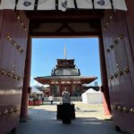 Osaka: 2.5 hours Combo Tour of Shitennoji and Isshinji Temples - Practical Details and Tips