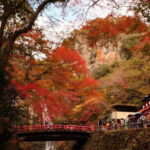 Osaka 8 Hours Tour Explore City and Minoh Falls - The Practical Aspects