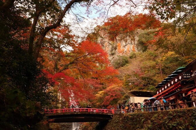 Osaka 8 Hours Tour Explore City and Minoh Falls - The Practical Aspects