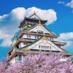 Osaka Cherry Blossom Tour with a Local: 100% Personalized Private - Is This Tour Worth It?