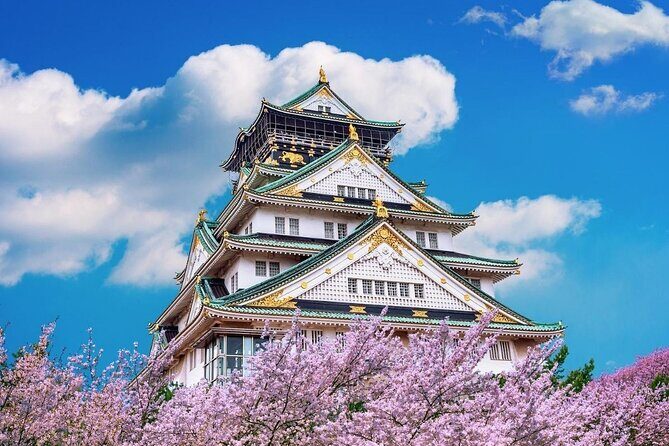 Osaka Cherry Blossom Tour with a Local: 100% Personalized Private - Is This Tour Worth It?