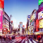 Osaka Private Transfer from Itami Airport (ITM) to central Osaka - Who Should Book This Transfer?