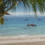 Oslob Whaleshark with Aguinid Waterfalls - Final Thoughts