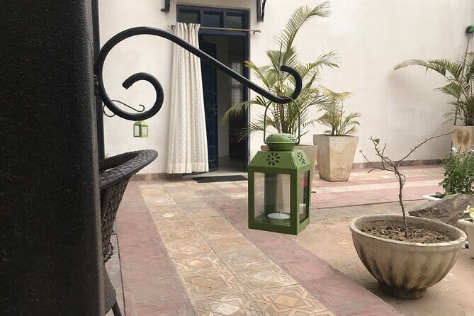 Overnight stay at an Eco Farm near Delhi - Who Will Love This Tour?