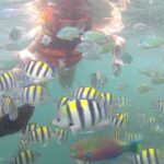 Package 3 days :Visit Sasak Villages,Hiking to Waterfalls, & Snorkeling 3 Gilis - Practical Considerations and Tips