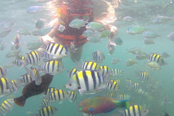 Package 3 days :Visit Sasak Villages,Hiking to Waterfalls, & Snorkeling 3 Gilis - Practical Considerations and Tips
