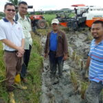Paddy Field Experience with Real Agricultural Activities - FAQs
