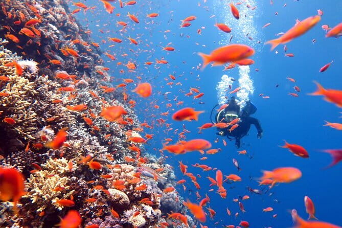 PADI Advanced Open Water Course (5 Dives-2 Days) - How Does the Schedule Work?