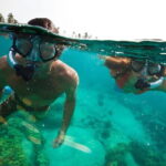 PADI Skin Diver (Snorkeling) - One Day Program - What Travelers Say: Authentic Insights