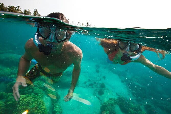 PADI Skin Diver (Snorkeling) - One Day Program - What Travelers Say: Authentic Insights