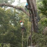 Panoramic Penang Hill & The Habitat Nature Discovery - Authentic Insights from Reviewers