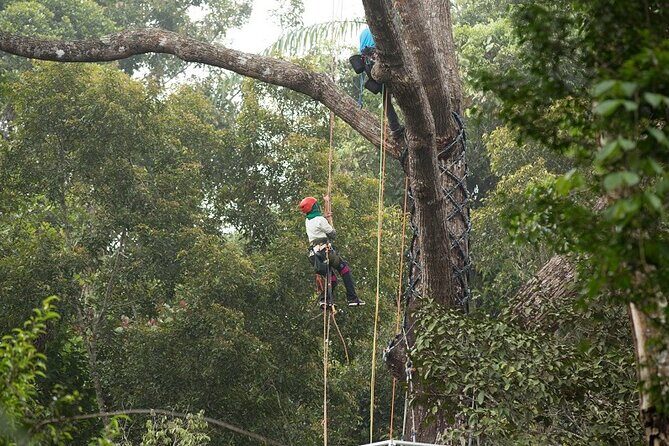 Panoramic Penang Hill & The Habitat Nature Discovery - Authentic Insights from Reviewers