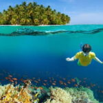 Pattaya: Coral Island Tour with Water Sports, Lunch & Pickup Drop - Practical Details and What It Means for You