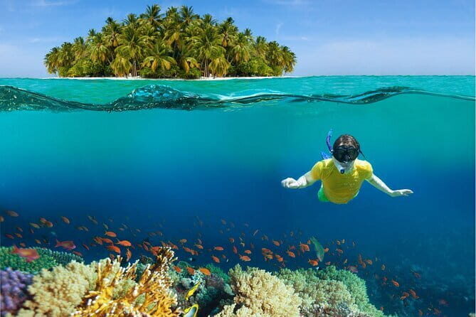 Pattaya: Coral Island Tour with Water Sports, Lunch & Pickup Drop - Practical Details and What It Means for You