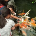 Pattaya Underwater World - Discover Ocean Treasures - Is Pattaya Underwater World Worth It?