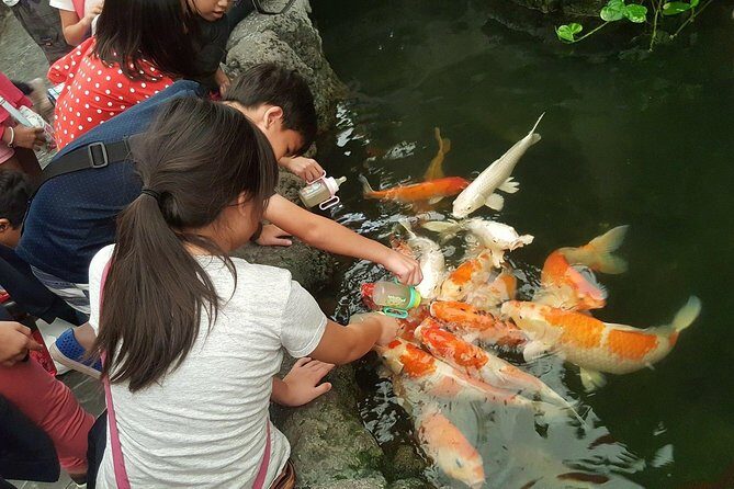Pattaya Underwater World - Discover Ocean Treasures - Is Pattaya Underwater World Worth It?