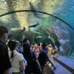 Pattaya Underwater World Entrance Ticket - Who Will Appreciate This Experience?
