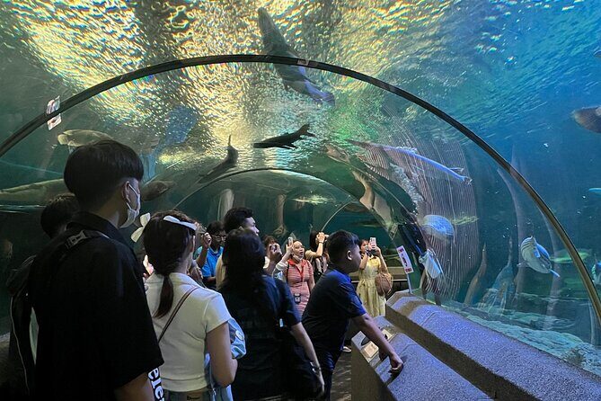 Pattaya Underwater World Entrance Ticket - Who Will Appreciate This Experience?