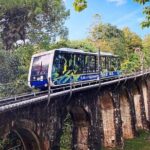 Penang Full Day Tour with Penang Hill, Kek Lok Si & Fruit Farm - Transport, Pacing, and Guides