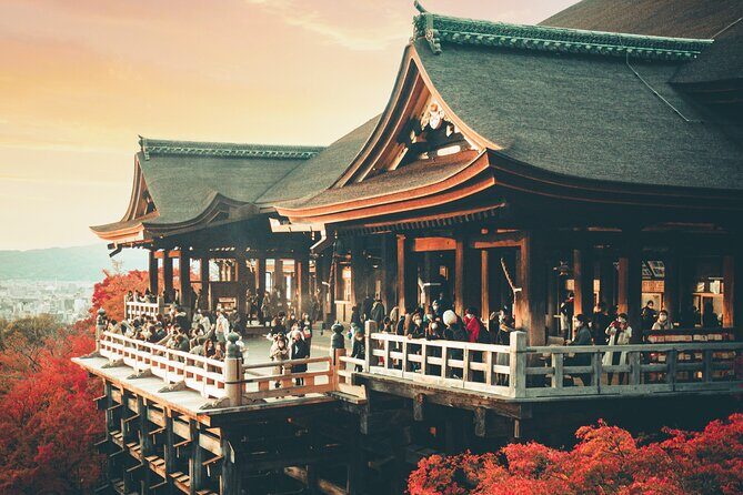 Perfect 4 Day West Japan Tour with English Speaking Chauffeur - From Osaka to Nara: History and Urban Charm