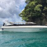 Phi Phi + Bamboo Island Sunset by Speed Catamaran - Who Is This Tour Best For?