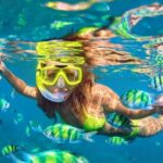 Phi Phi & Bamboo Island with Lunch by Speed Boat Full Day - The Full Experience: What to Expect
