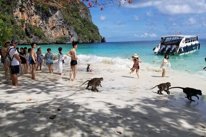 Phi Phi Islands Adventure Day Trip with Seaview Lunch - The Full Breakdown of the Tour Experience