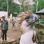Philippine Eagle Center/Shopping - Practical Tips for Your Davao Tour