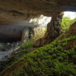 Phong Nha Cave Fullday tour from Hanoi - What Makes This Tour Stand Out?