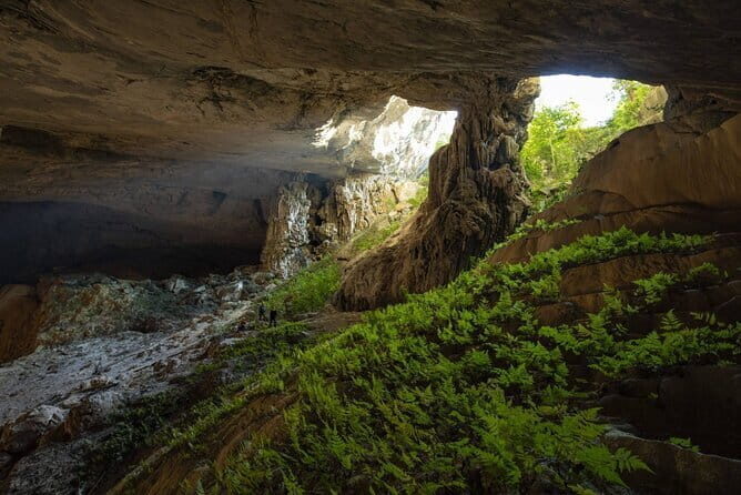 Phong Nha Cave Fullday tour from Hanoi - What Makes This Tour Stand Out?