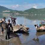 Phong Nha to Hoi An by Private Car with Multi Sightseeing - Who Will Love This Tour?