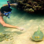 Phu Quoc free and easy package 3 days - Analyzing the Value
