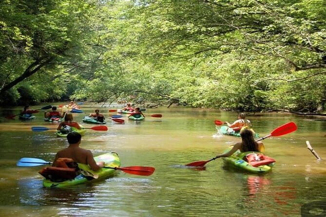 Phu Quoc Fullday Tour at Cua Can river - Authentic Experiences on a Well-Structured Tour