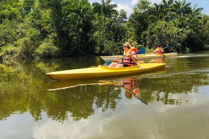 Phu Quoc Northern Island Kayak Adventure Day Trip - What We Appreciate About This Tour