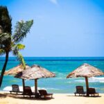 Phu Quoc Southern Island full day tour - The Experience Through the Eyes of Reviewers