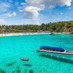 Phuket Coral & Racha Island Tour by Speedboat with Lunch - What Travelers Say: Authentic Insights
