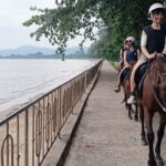 Phuket Eco Friendly Beach Horse Riding Experience - The Sum Up