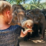 Phuket: Full-Day Tour with Phuket town, Temples, and Adventure - Practical Considerations and Value