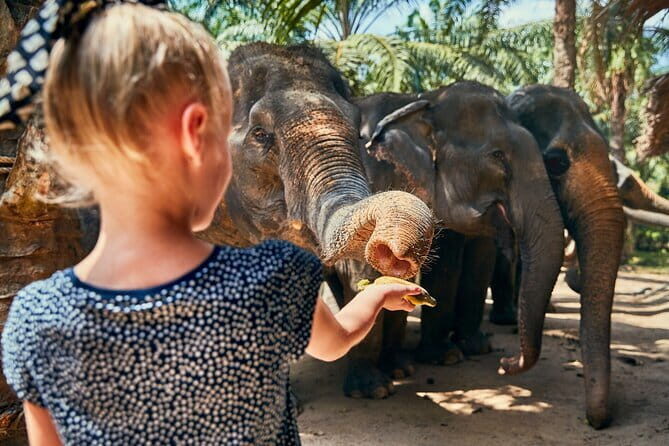 Phuket: Full-Day Tour with Phuket town, Temples, and Adventure - Practical Considerations and Value