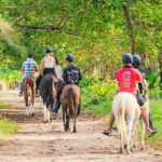 Phuket Golden Sunset Horseback Ride with Palai Beach Views - The Experiences Practicalities