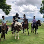 Phuket Scenic Horseback Riding Adventure - Why This Tour Works for Different Travelers