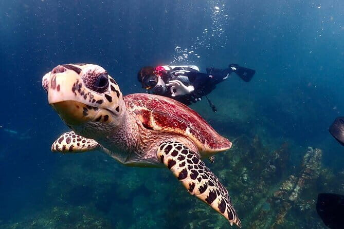 Phuket Scuba Diving Adventure for All Levels with Transfer - Who Is This Tour Best For?