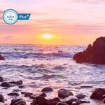 Phuket Sightseeing Raya and Coral Island Full Day By Speedboat - Coral Island: Sun, Sand, and Snorkeling